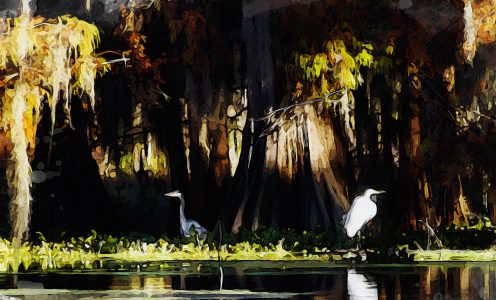 BAYOU LEVEL – $10,000