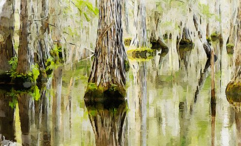 CYPRESS LEVEL – $6,000