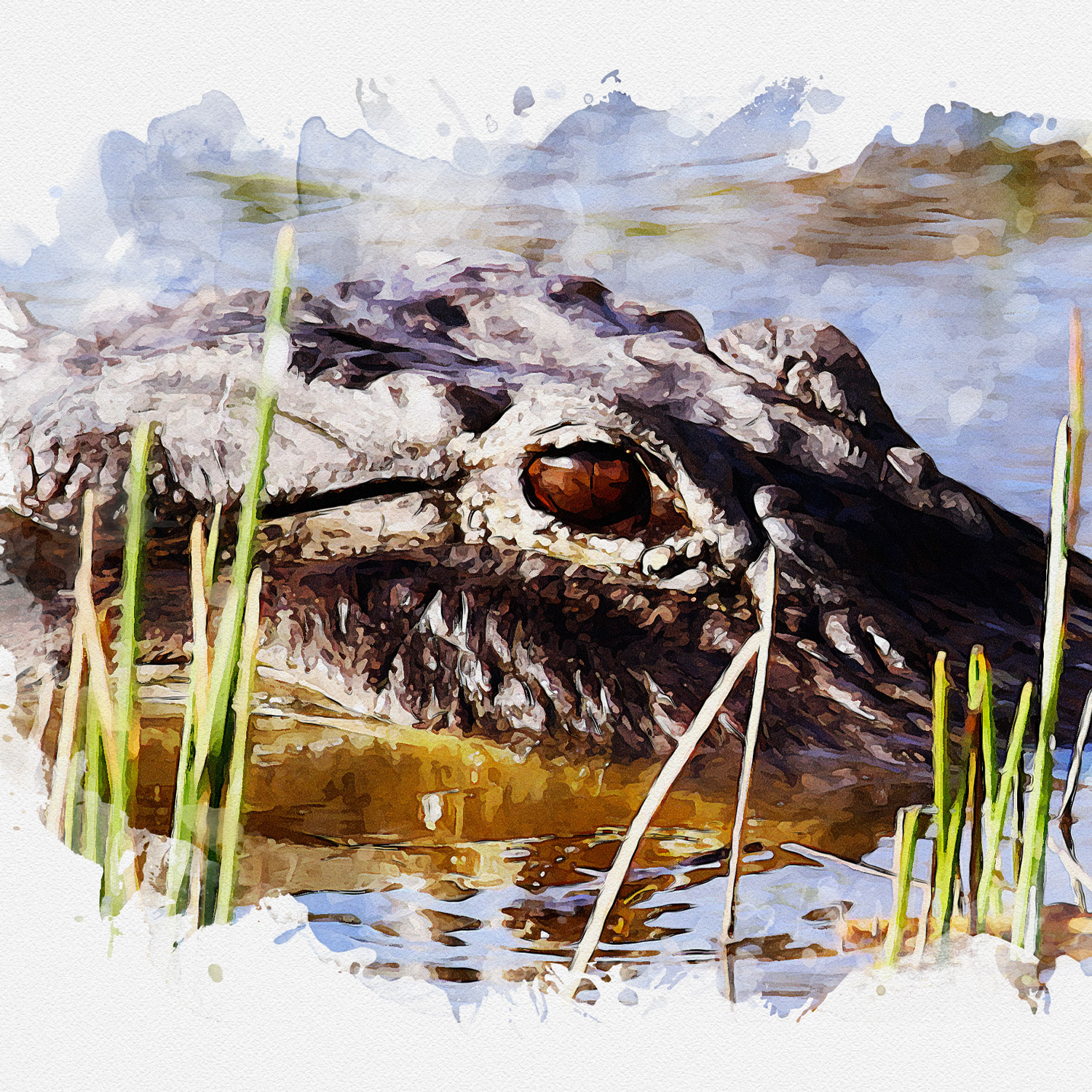 GATOR LEVEL – $3,500