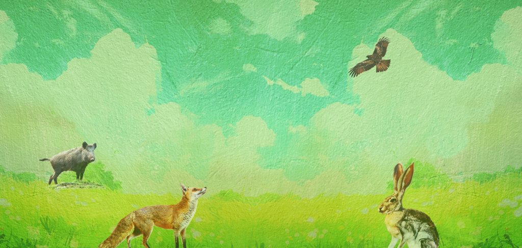 texturized image of a meadow with a fox, boar, falcon and rabbit.