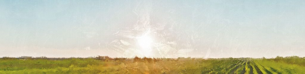 Photo of crops with a painting look.
