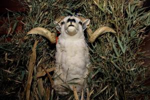 WGD2019maddiemoree-9